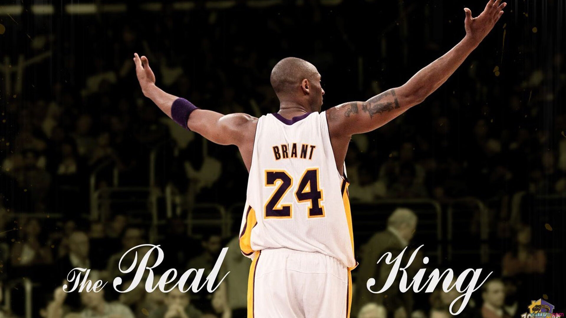 戈麦斯数据全面爆炸,贝蒂斯粉碎勒沃库森不败神话